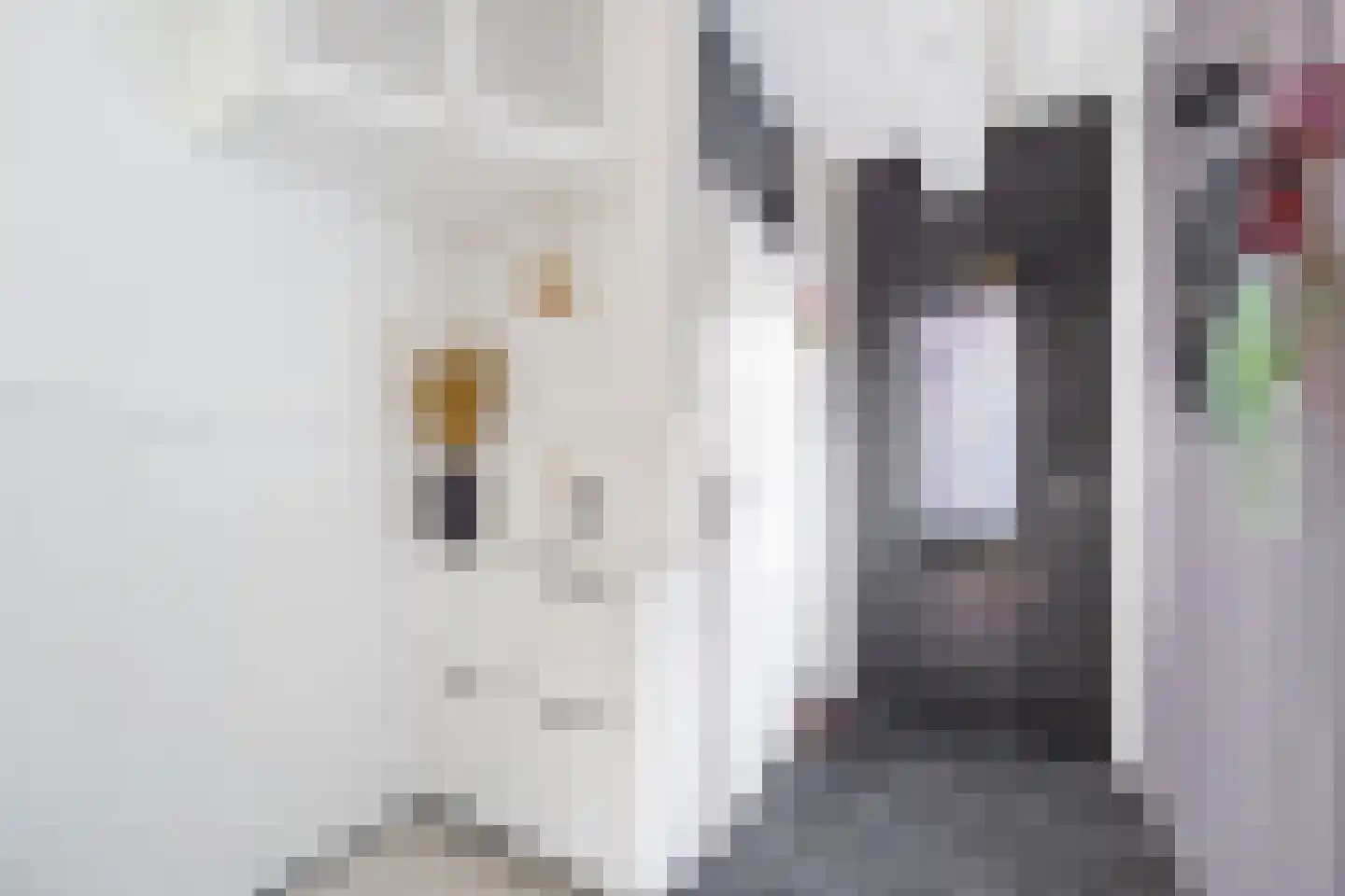 Evertsenstraat 17 Leidschendam thumbnail 6