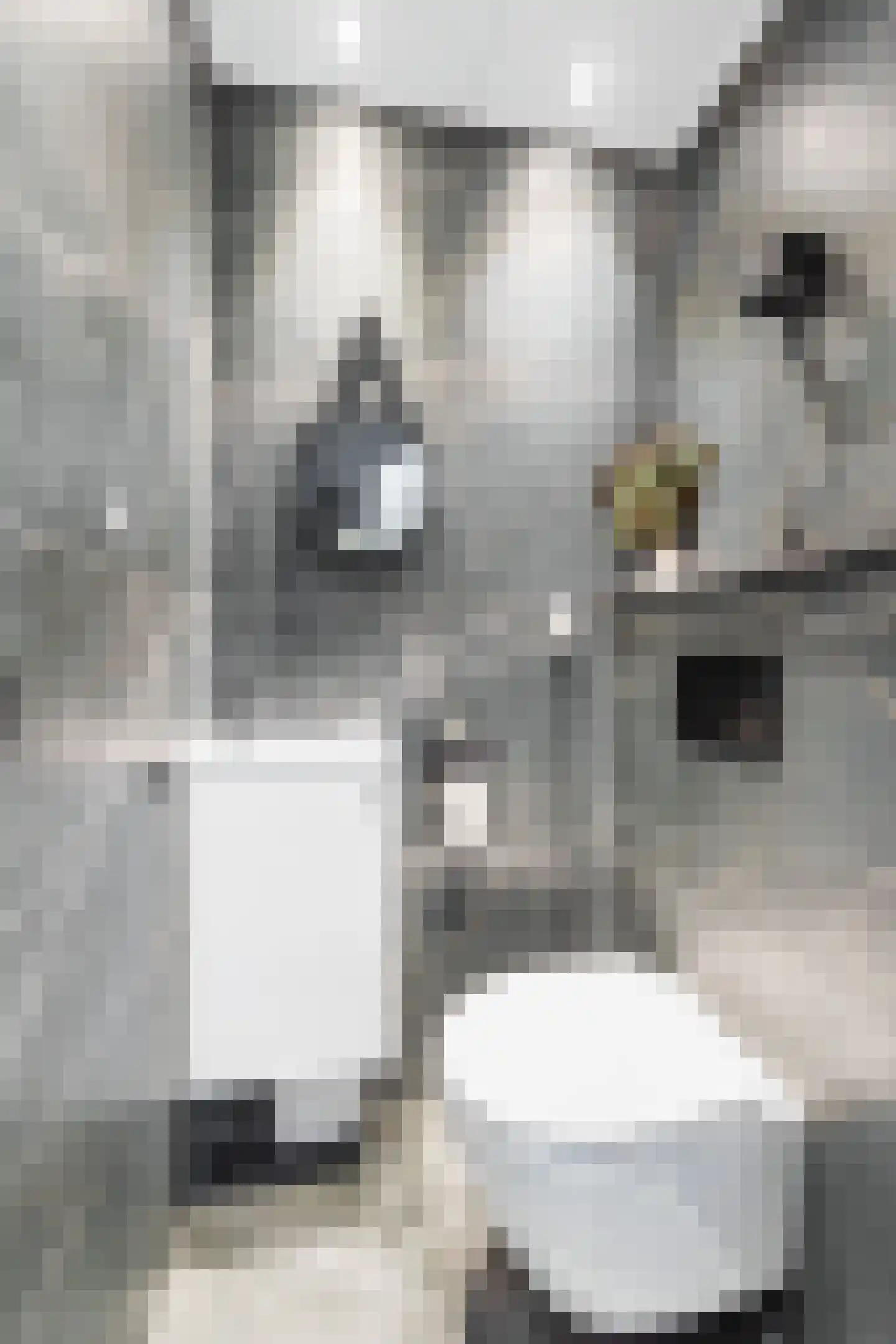 Evertsenstraat 17 Leidschendam thumbnail 7