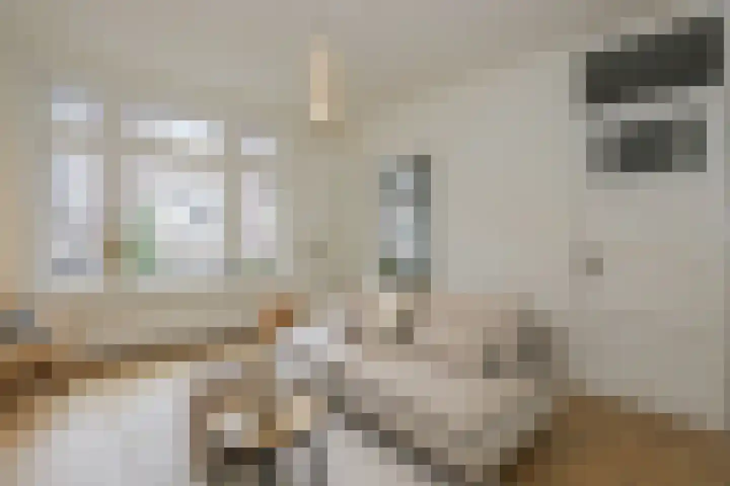 Evertsenstraat 19 Nijmegen thumbnail 6