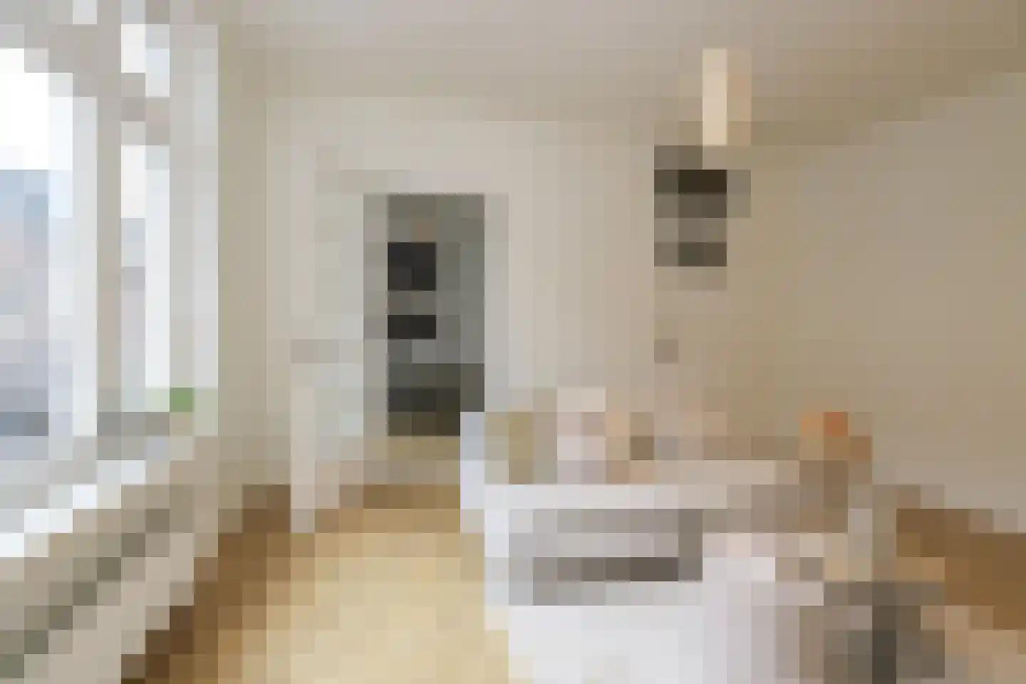 Evertsenstraat 19 Nijmegen thumbnail 7