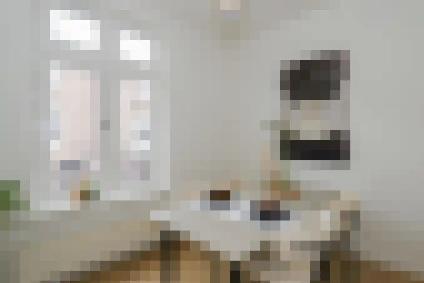 Evertsenstraat 19 Nijmegen thumbnail 9