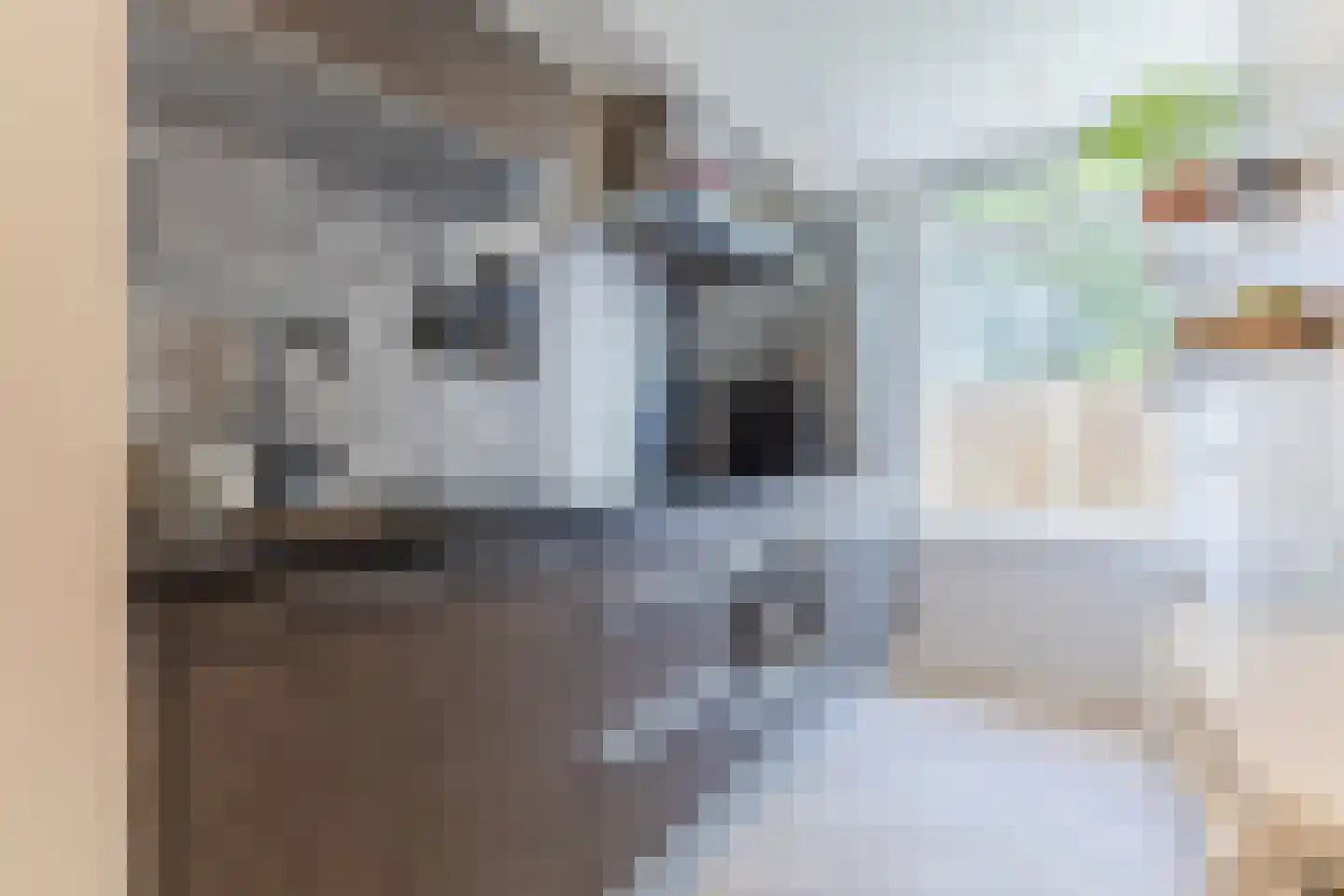 Evertsenstraat 2 Papendrecht thumbnail 14