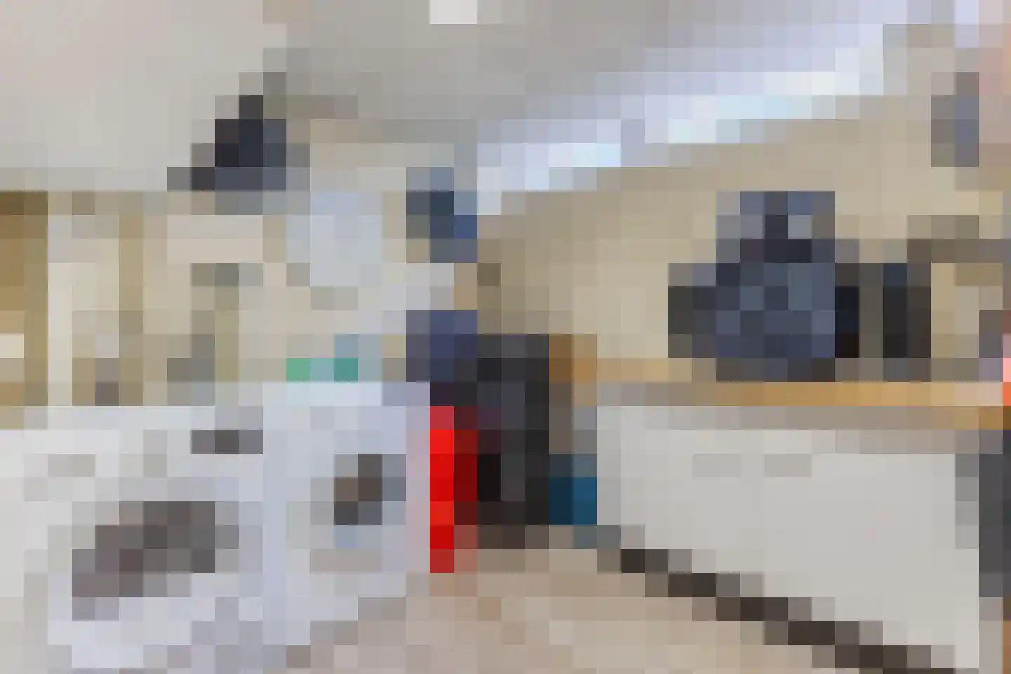Evertsenstraat 2 Papendrecht thumbnail 24