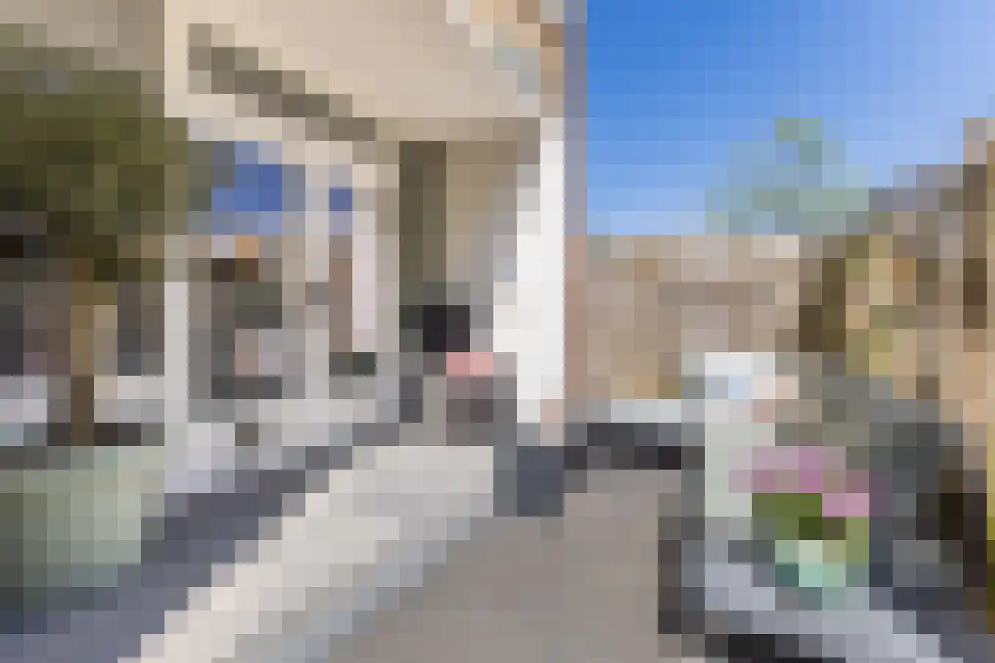 Evertsenstraat 2 Papendrecht thumbnail 4