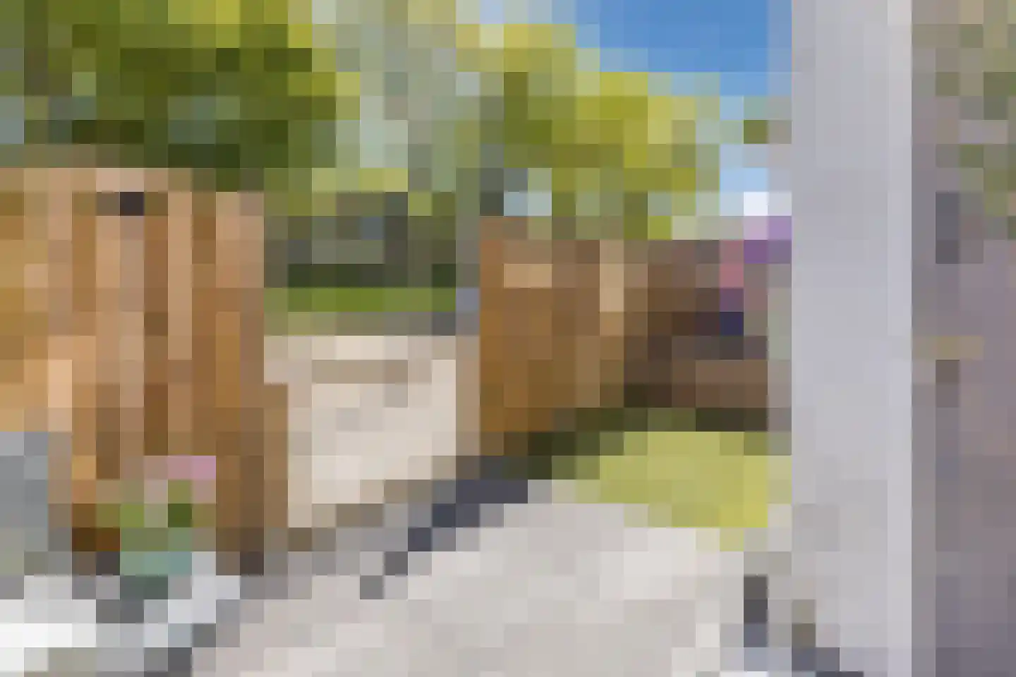 Evertsenstraat 2 Papendrecht thumbnail 9