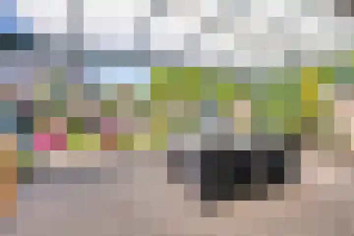 Evertsenstraat 2 Schijndel thumbnail 4