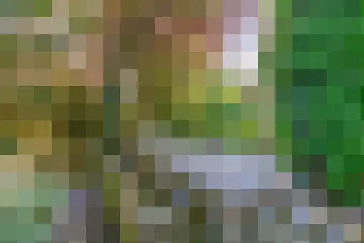 Evertsenstraat 2 Wormerveer thumbnail 36