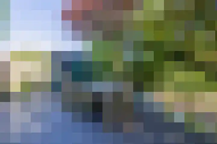 Evertsenstraat 2 Wormerveer thumbnail 37