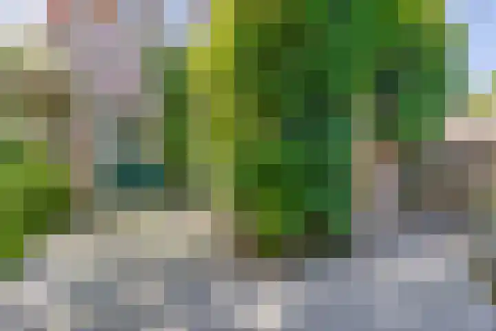 Evertsenstraat 2 Wormerveer thumbnail 38