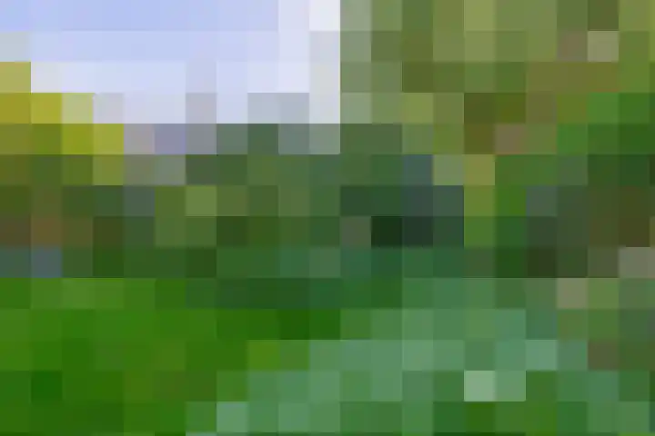 Evertsenstraat 2 Wormerveer thumbnail 4