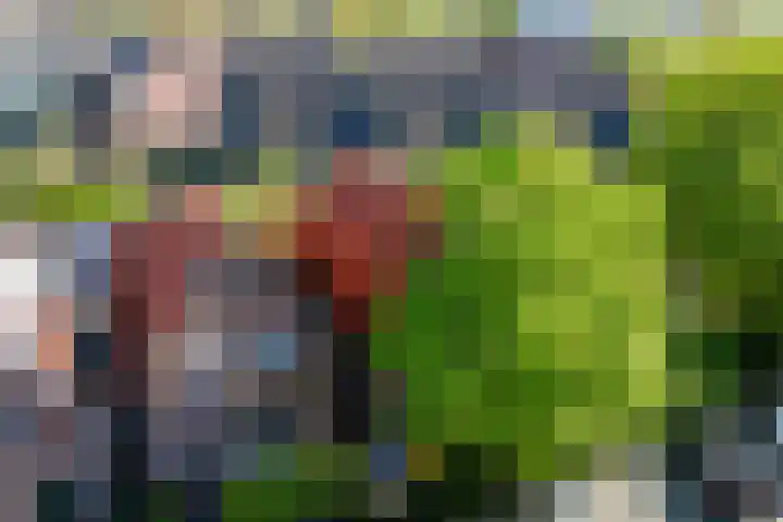 Evertsenstraat 2 Wormerveer thumbnail 6