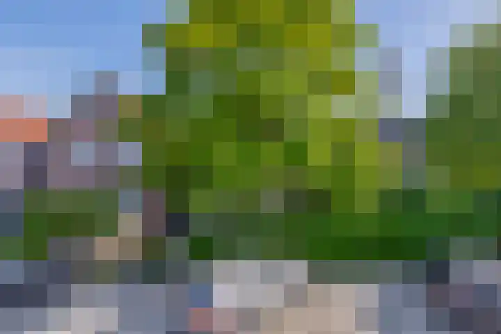 Evertsenstraat 2 Wormerveer thumbnail 8