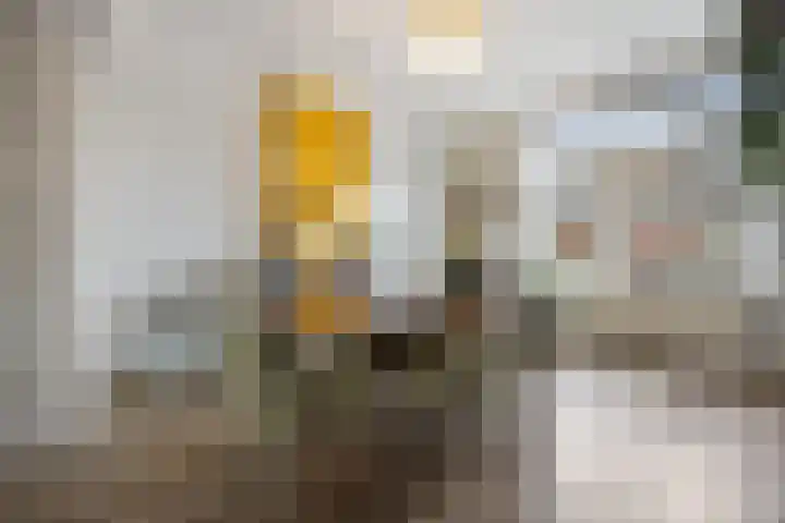 Evertsenstraat 22 Nijmegen thumbnail 5