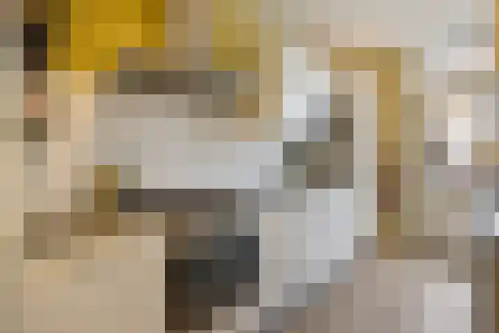 Evertsenstraat 22 Nijmegen thumbnail 9
