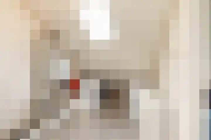 Evertsenstraat 25 Koudekerke thumbnail 20