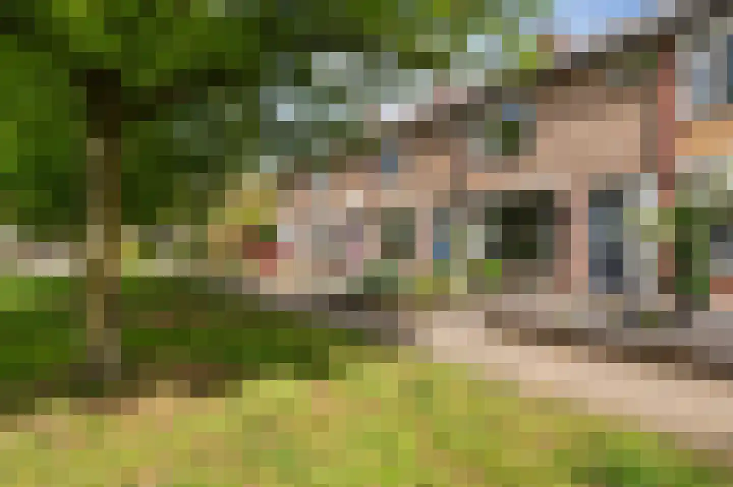 Evertsenstraat 26 Groenlo thumbnail 30