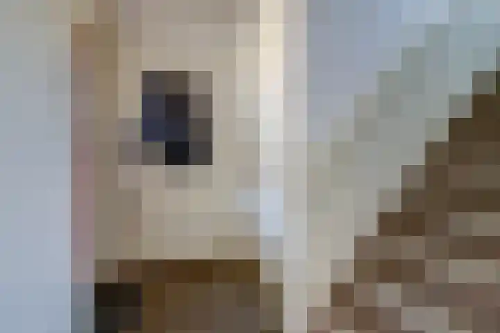 Evertsenstraat 27 Nijmegen thumbnail 5