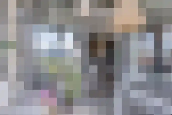 Evertsenstraat 3 A Capelle aan den IJssel thumbnail 14