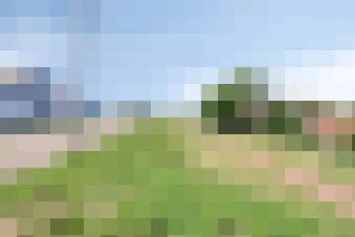 Evertsenstraat 3 A Capelle aan den IJssel thumbnail 29
