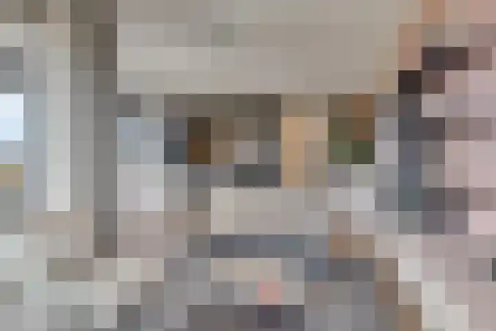 Evertsenstraat 3 A Capelle aan den IJssel thumbnail 8