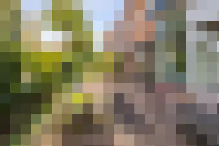 Evertsenstraat 3 IJmuiden thumbnail 7