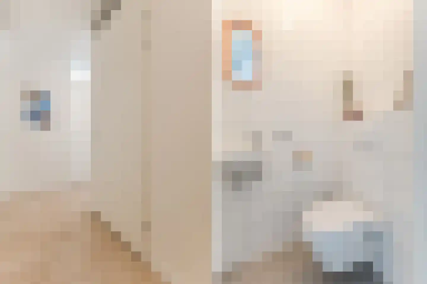 Evertsenstraat 3 J Capelle aan den IJssel thumbnail 13