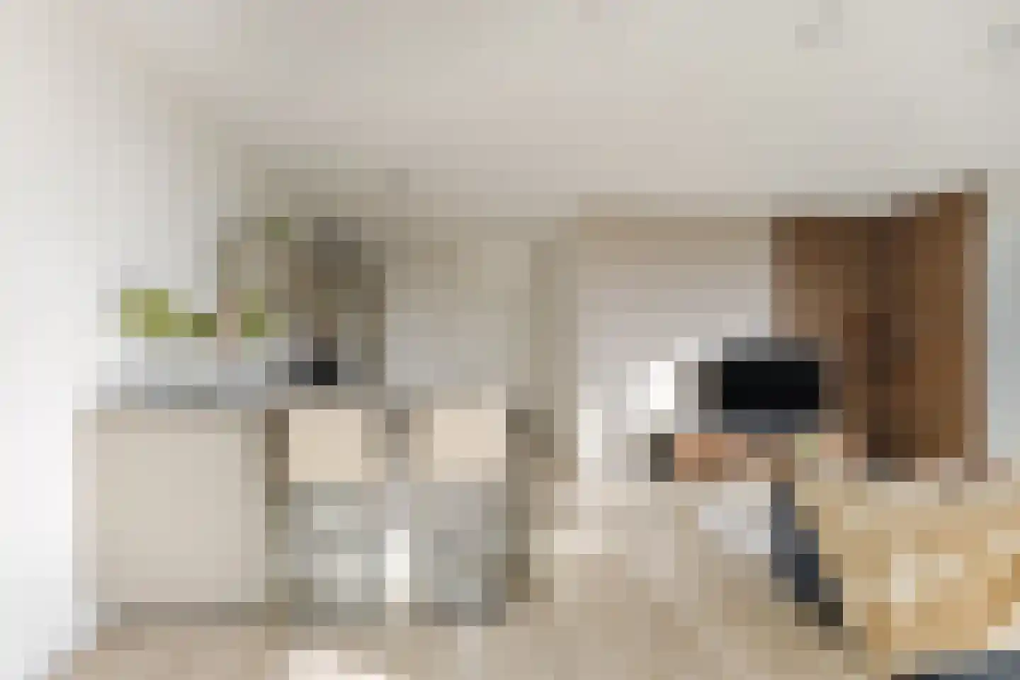 Evertsenstraat 3 J Capelle aan den IJssel thumbnail 22