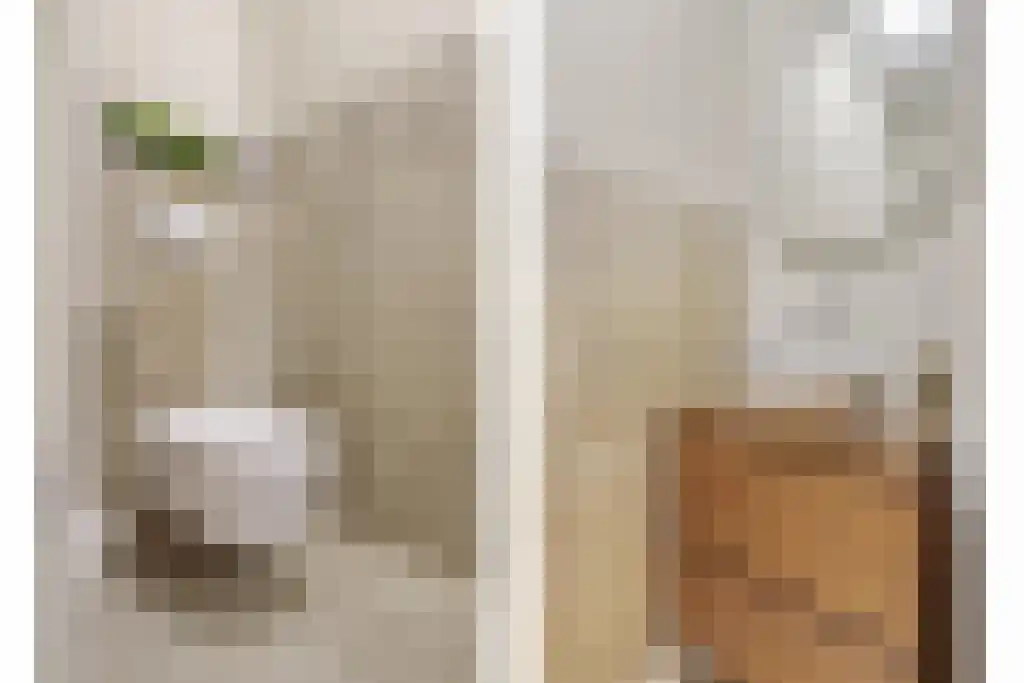 Evertsenstraat 3 L Capelle aan den IJssel thumbnail 14