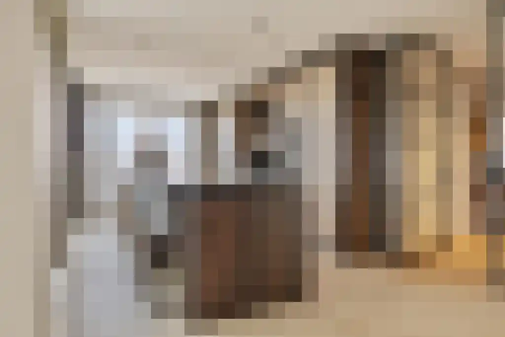 Evertsenstraat 3 L Capelle aan den IJssel thumbnail 16