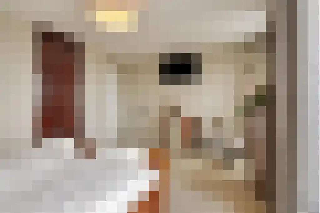 Evertsenstraat 3 L Capelle aan den IJssel thumbnail 30
