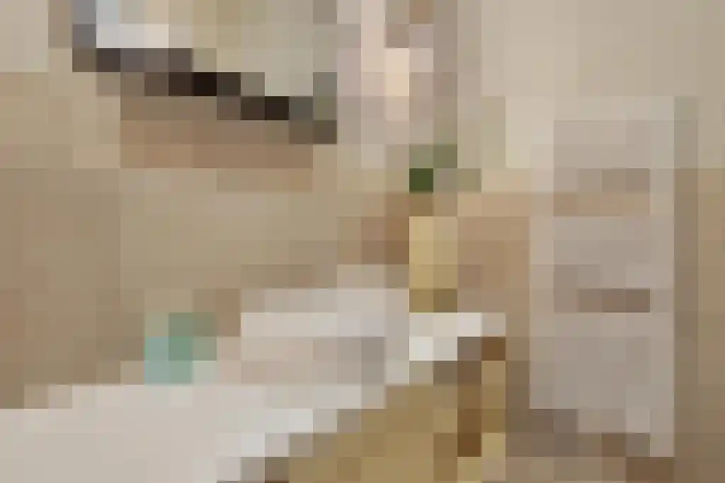 Evertsenstraat 3 L Capelle aan den IJssel thumbnail 47