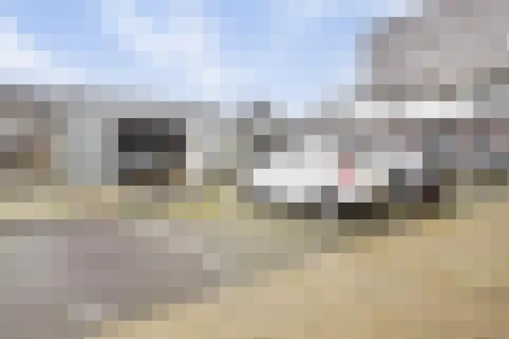 Evertsenstraat 3 L Capelle aan den IJssel thumbnail 52