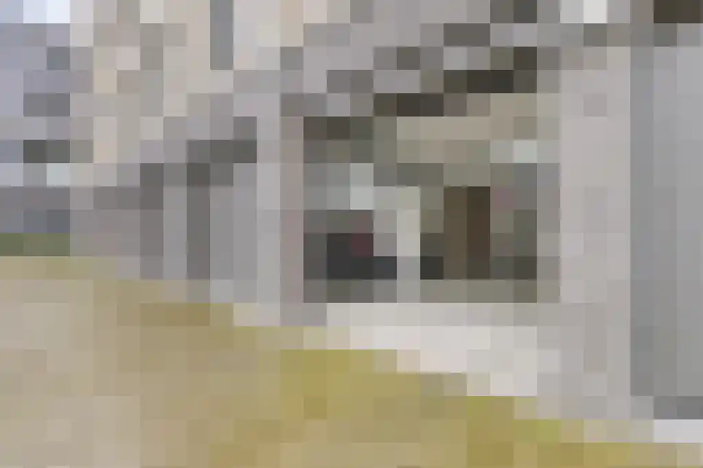 Evertsenstraat 3 L Capelle aan den IJssel thumbnail 54