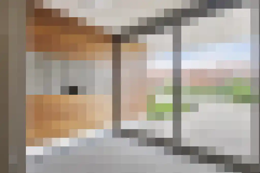 Evertsenstraat 3 L Capelle aan den IJssel thumbnail 9