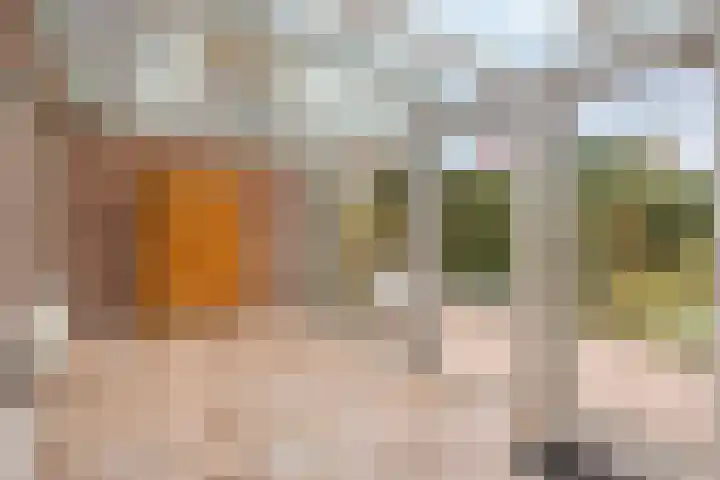 Evertsenstraat 34 Veghel thumbnail 11