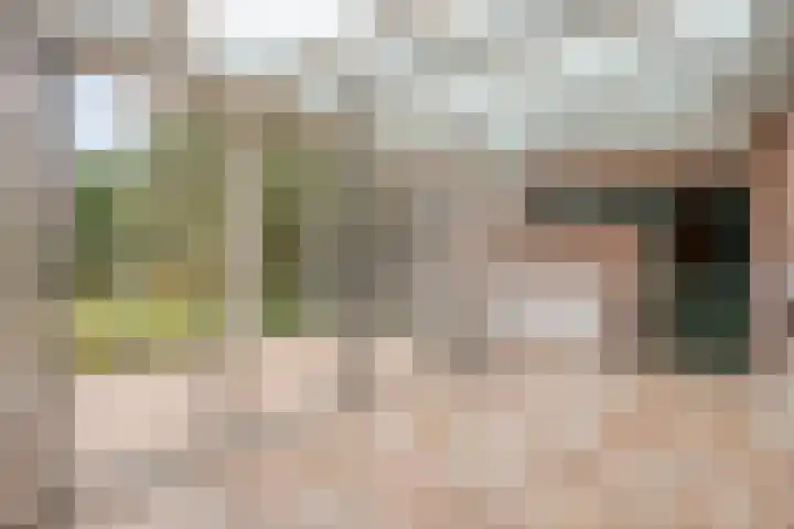 Evertsenstraat 34 Veghel thumbnail 12