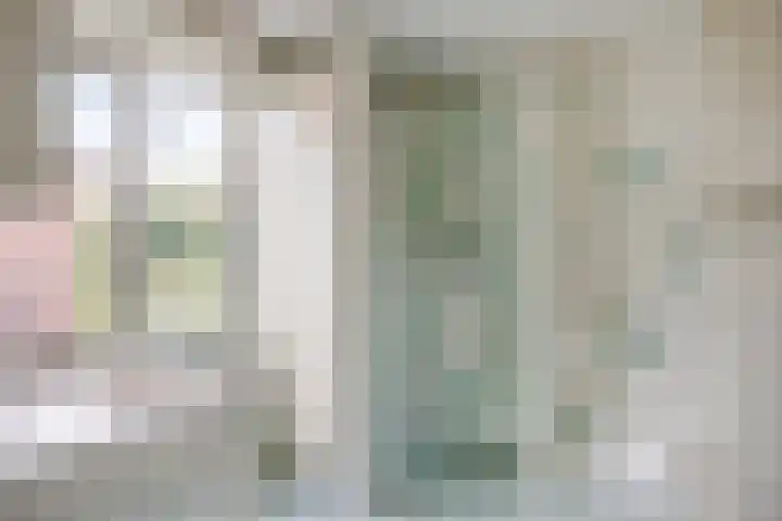 Evertsenstraat 34 Veghel thumbnail 19
