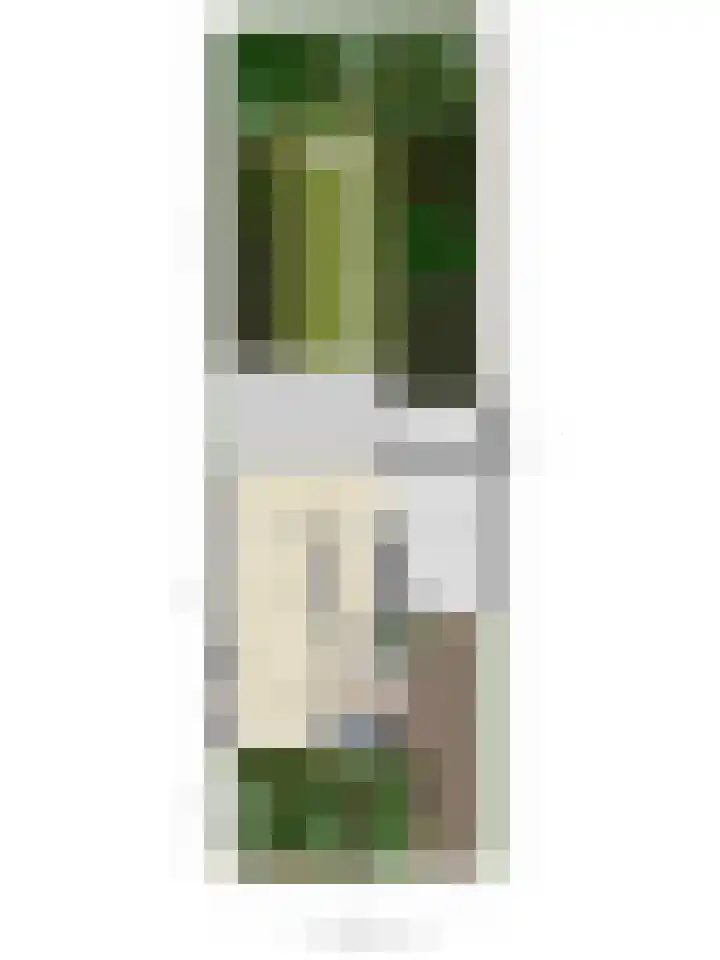 Evertsenstraat 34 Veghel thumbnail 31