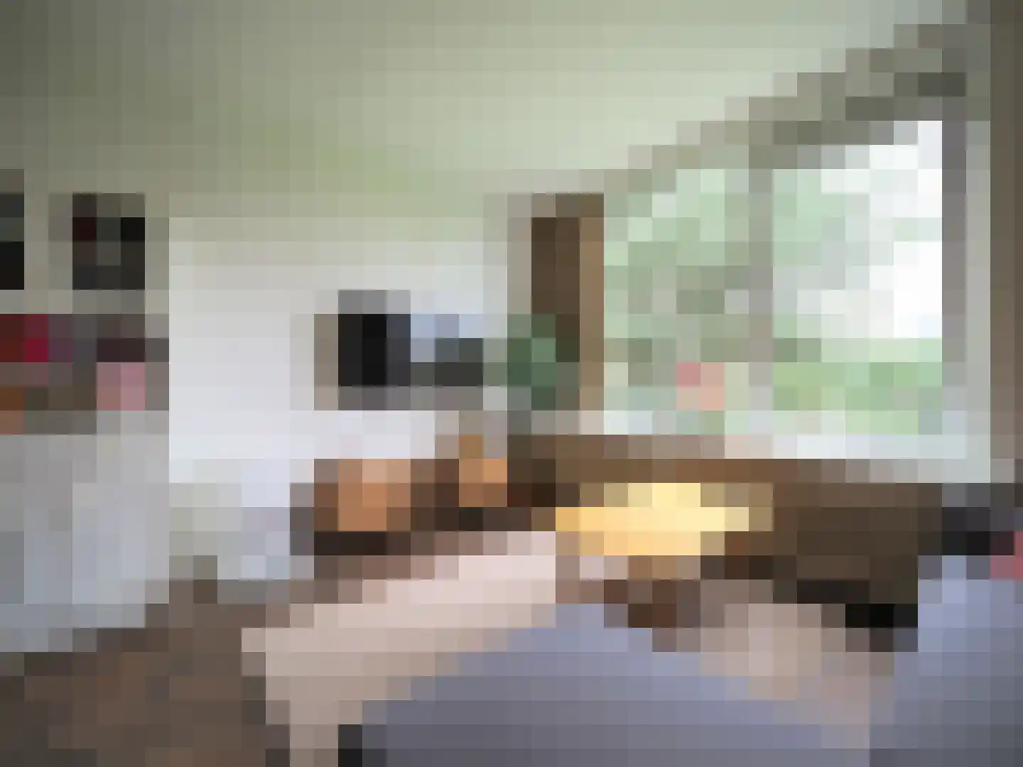 Evertsenstraat 38 Papendrecht thumbnail 17
