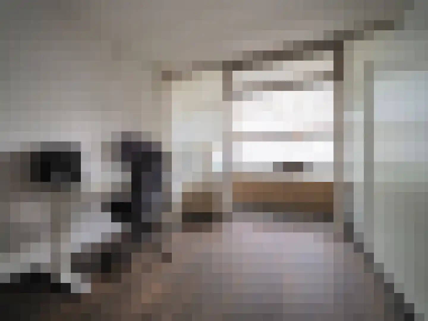 Evertsenstraat 38 Papendrecht thumbnail 27