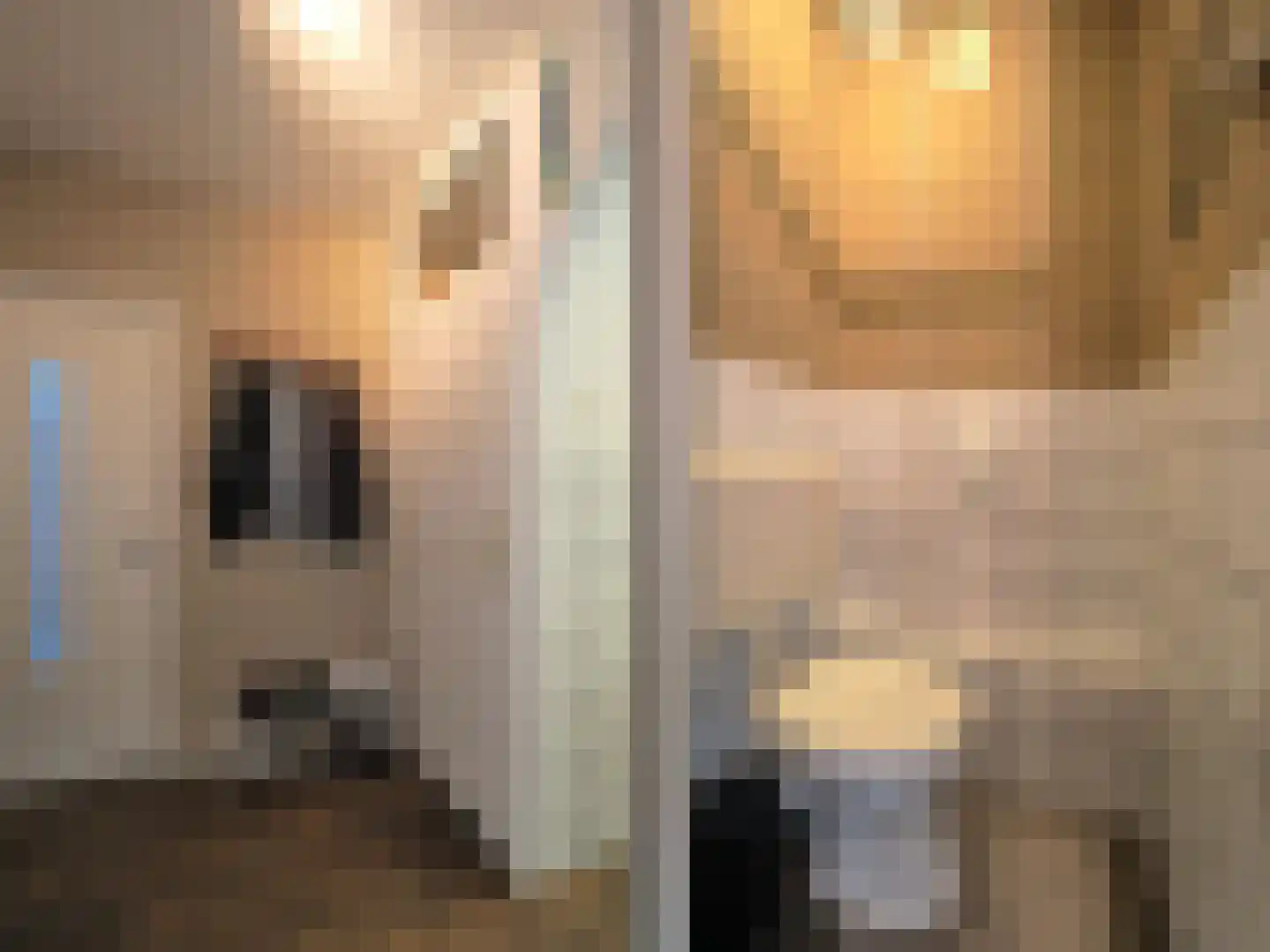 Evertsenstraat 38 Papendrecht thumbnail 31
