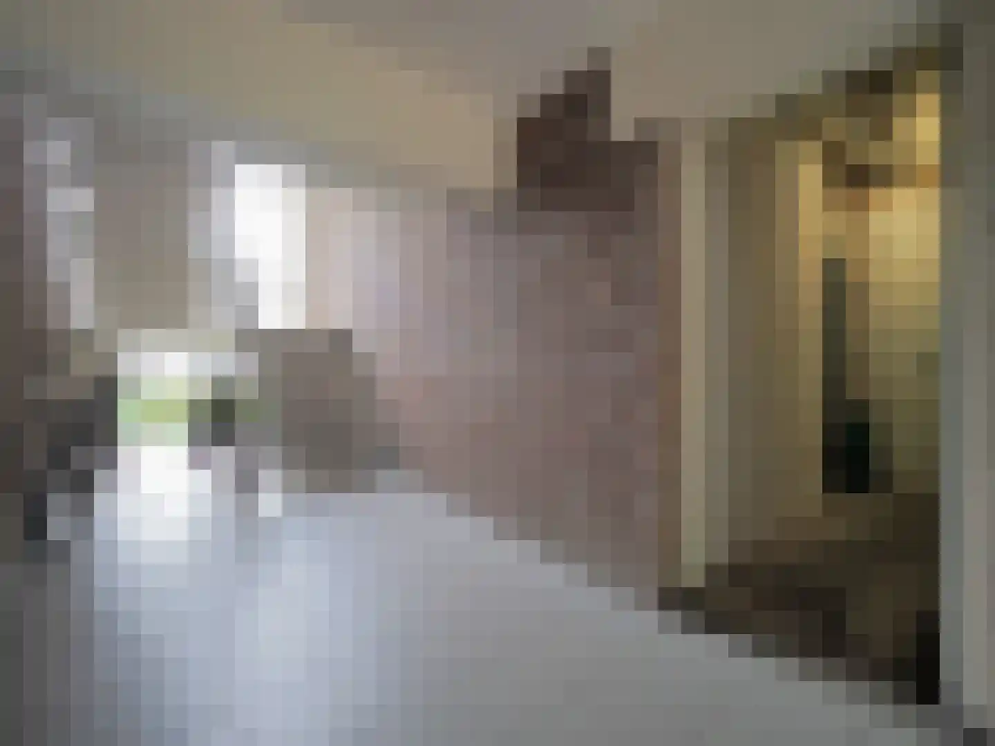 Evertsenstraat 38 Papendrecht thumbnail 9