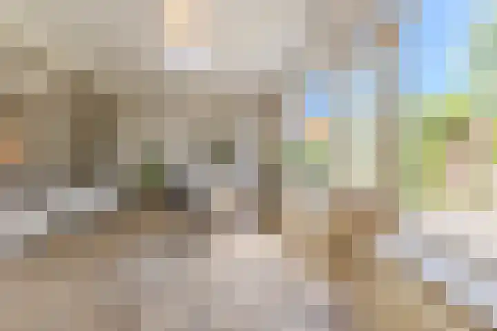 Evertsenstraat 38 Veghel thumbnail 24
