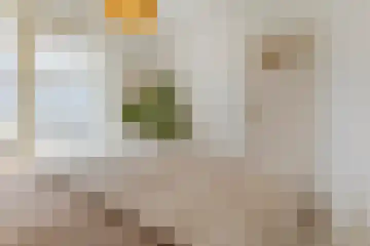 Evertsenstraat 38 Veghel thumbnail 32