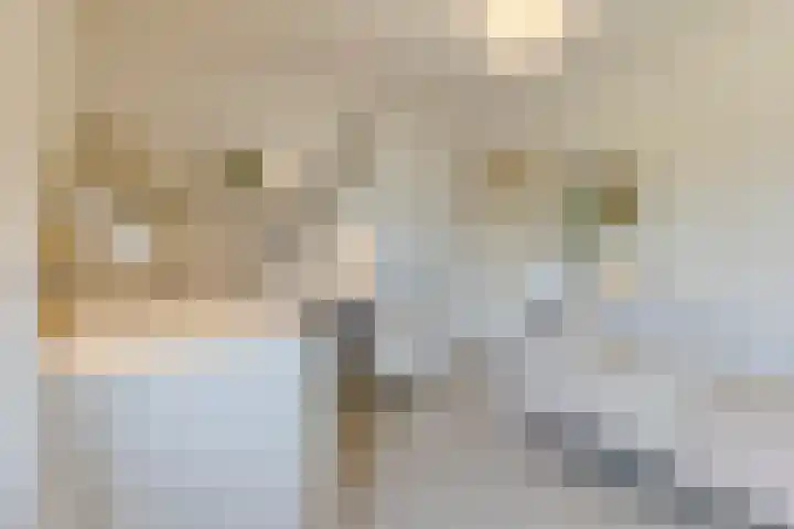 Evertsenstraat 38 Veghel thumbnail 34