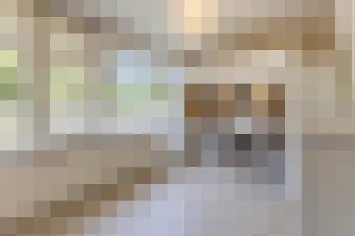 Evertsenstraat 38 Veghel thumbnail 35