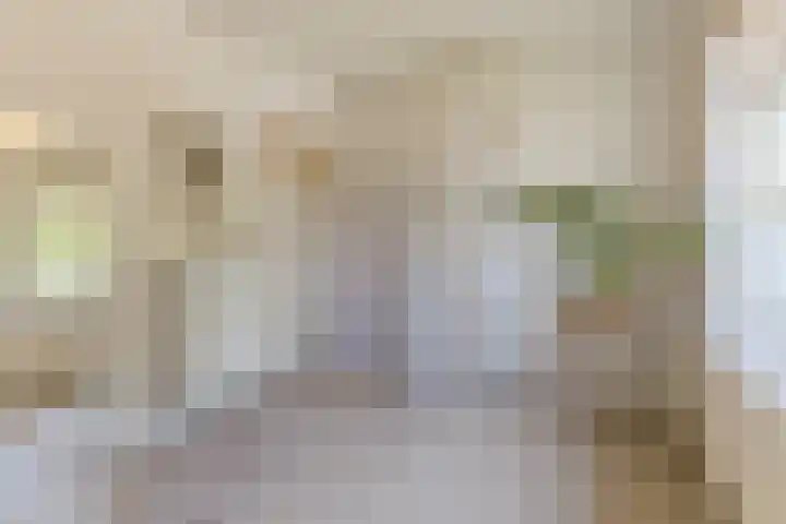 Evertsenstraat 38 Veghel thumbnail 36