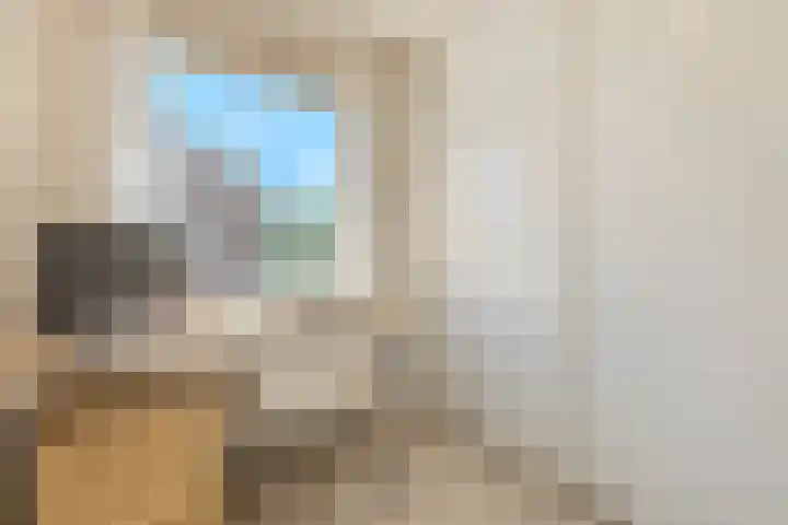 Evertsenstraat 38 Veghel thumbnail 37