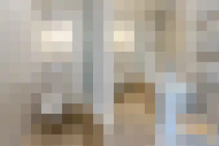 Evertsenstraat 38 Veghel thumbnail 41