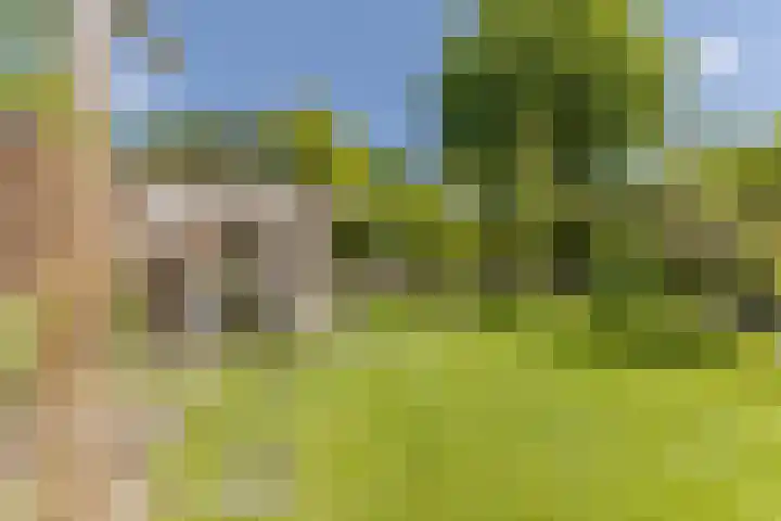 Evertsenstraat 38 Veghel thumbnail 5